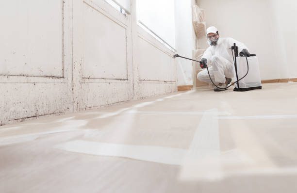 24/7 Emergency Attic Mold Remediation experts in Biglerville, PA